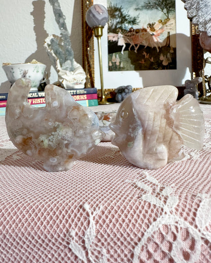 Flower Agate Fish Carving – Discus or Dolphin, Flow & Creativity | Choose Style - 1 Piece