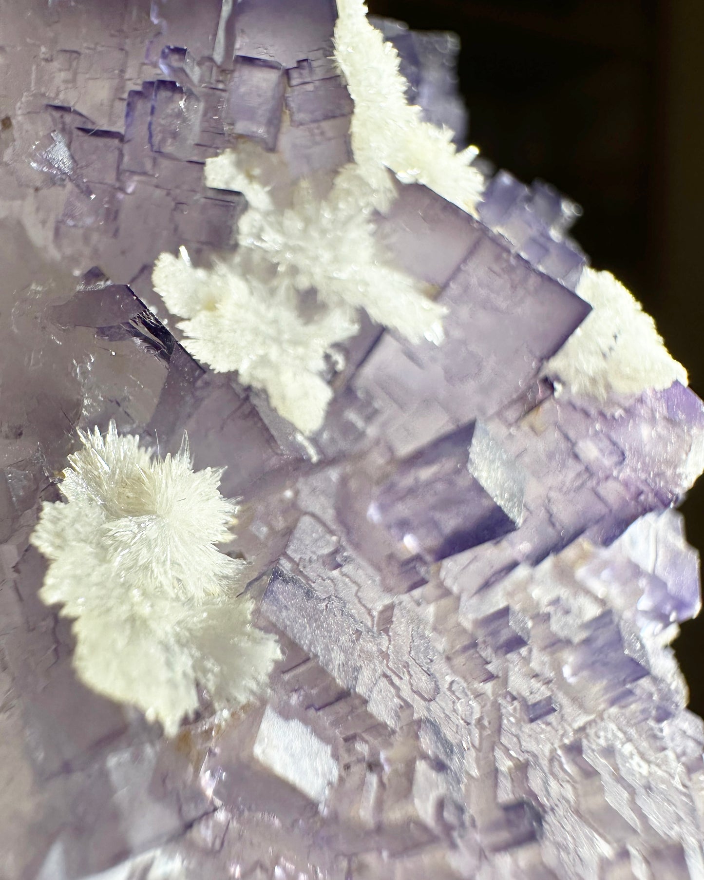 Tule Fluorite Specimen – Purple Fluorite Crystal (some with Calcite) Focus & Clarity | Choose Style, 1  Piece